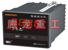 溫度表、數(shù)字顯示儀、濕度表