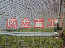 大棚花卉供暖設(shè)備、大棚卉采暖設(shè)備、大棚花卉取暖設(shè)備