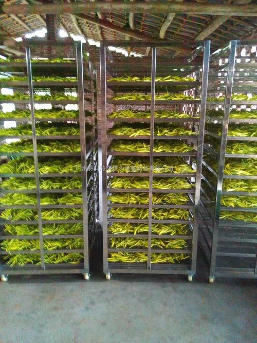 黃花菜烘干機(jī)、黃花菜烘干設(shè)備、黃花菜干燥機(jī)、黃花菜干燥設(shè)備、
